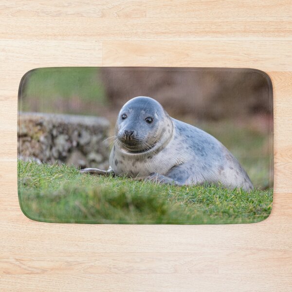 Item preview, Young Seal designed and sold by dvlcom.
