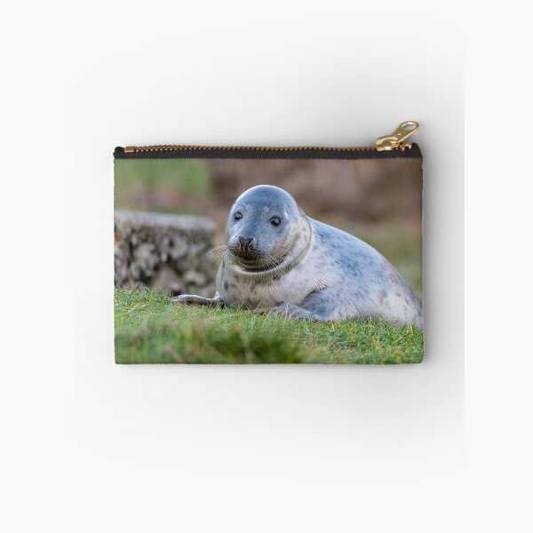 Item preview, Young Seal designed and sold by dvlcom.
