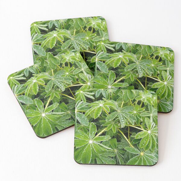 Item preview, Raindrops on lupinus leaves designed and sold by Gaspar Avila.