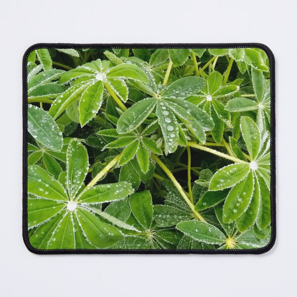 Item preview, Raindrops on lupinus leaves designed and sold by Gaspar Avila.