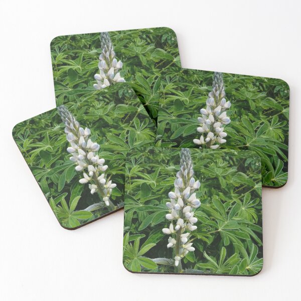 Item preview, Lupinus plants flowering designed and sold by Gaspar Avila.