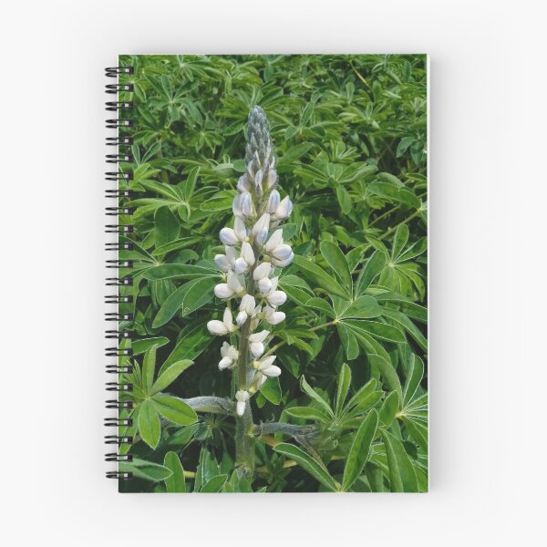 Item preview, Lupinus plants flowering designed and sold by Gaspar Avila.