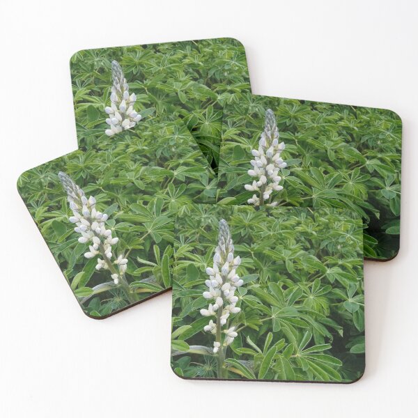 Item preview, Lupinus plants flowering designed and sold by Gaspar Avila.