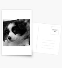 Jasper Postcards