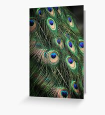 Plumage Greeting Card