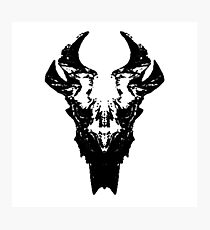 Elder Dragon Skull Photographic Print