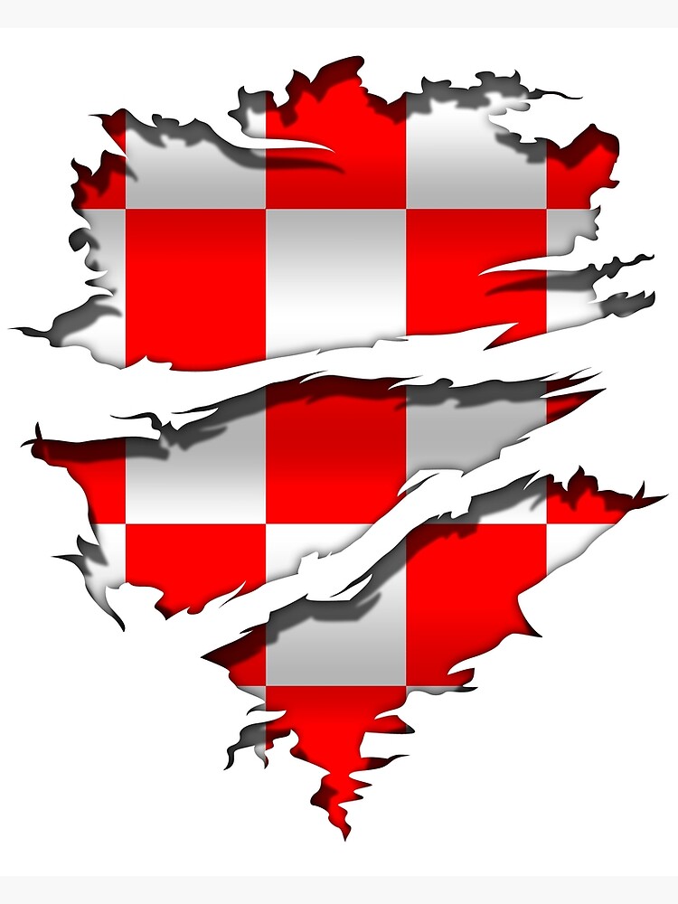 Poster mit Kroatien - Kroatien - Flagge - Tattoo Ripped von