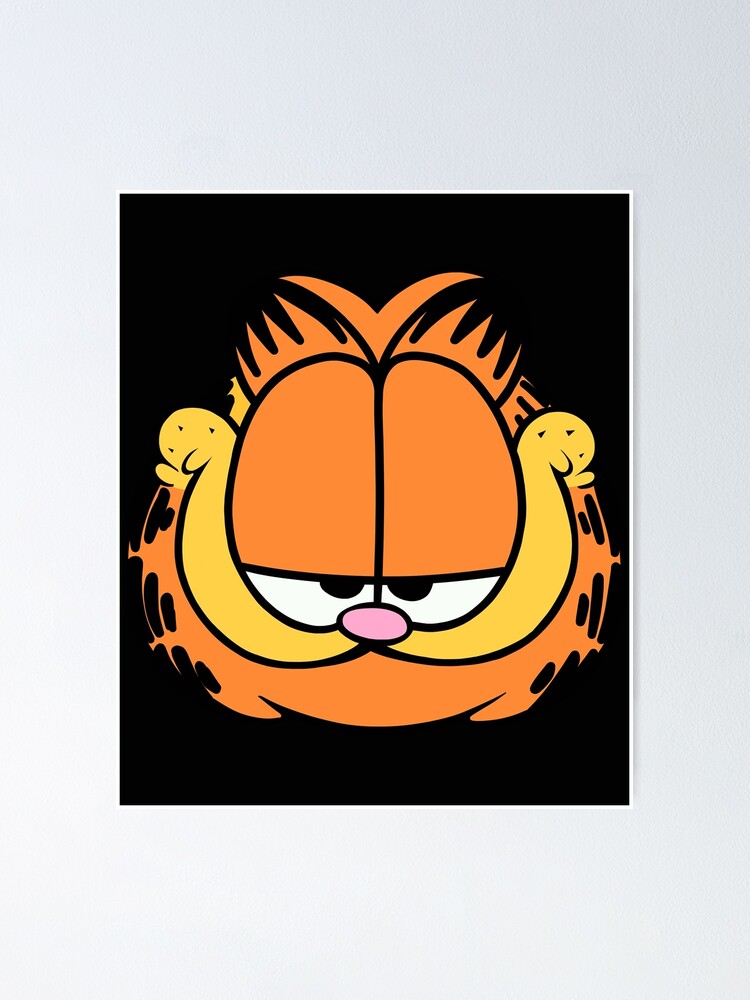 cara de garfield