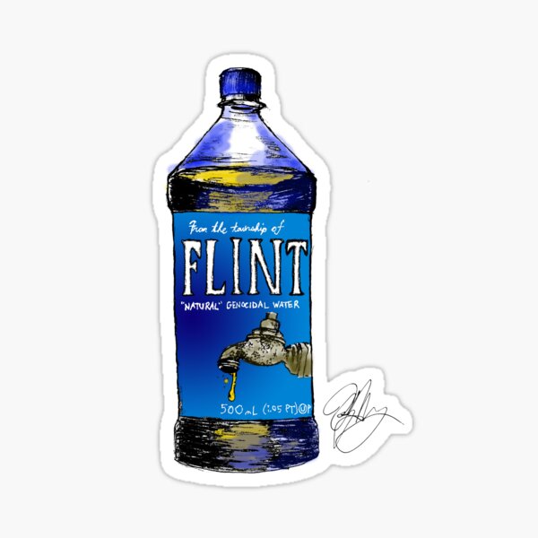 Klean Kanteen + ALF Water Bottle