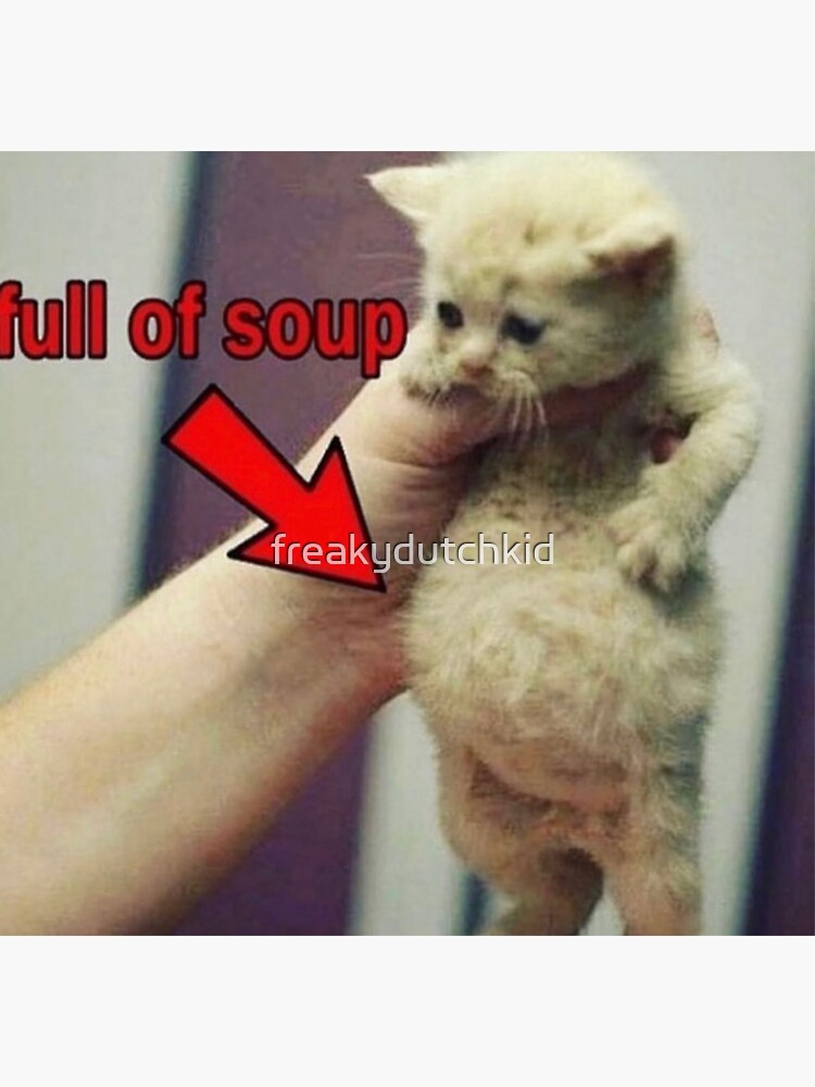 "Full of Soup Cat" Sticker by freakydutchkid Redbubble