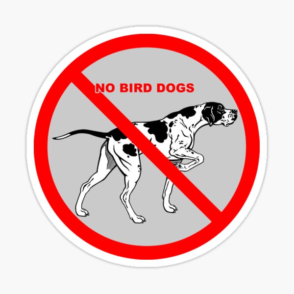 Item preview, No Bird Dogs designed and sold by 1guy1girl.