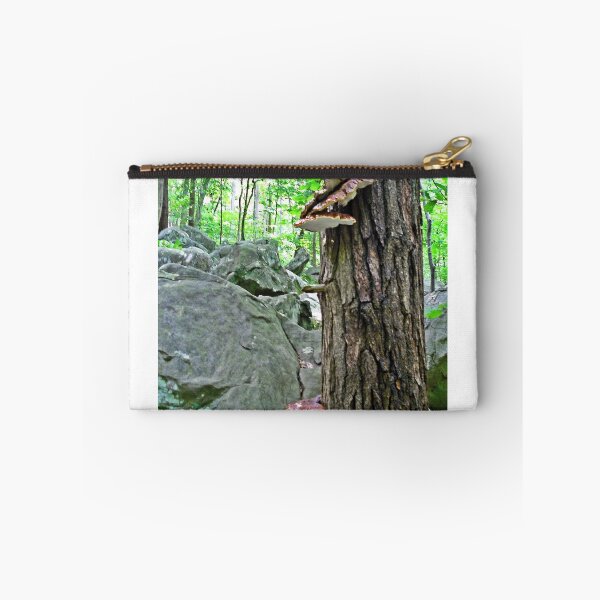 Item preview, Steps designed and sold by Paul Lubaczewski.