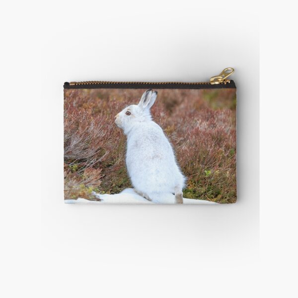 Item preview, White Mountain hare (Lepus timidus) designed and sold by chanonry.