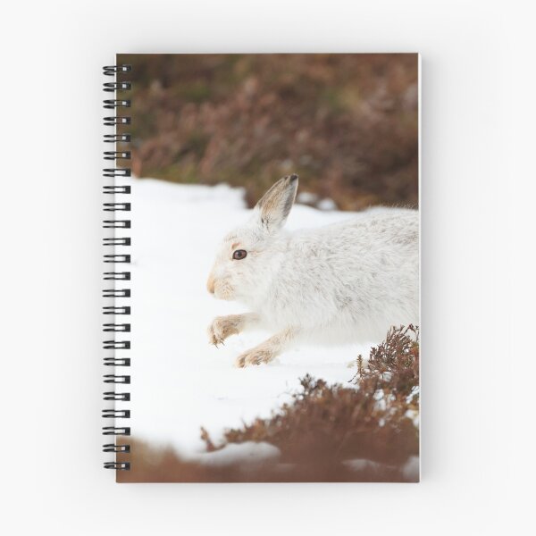 Item preview, white hare designed and sold by chanonry.
