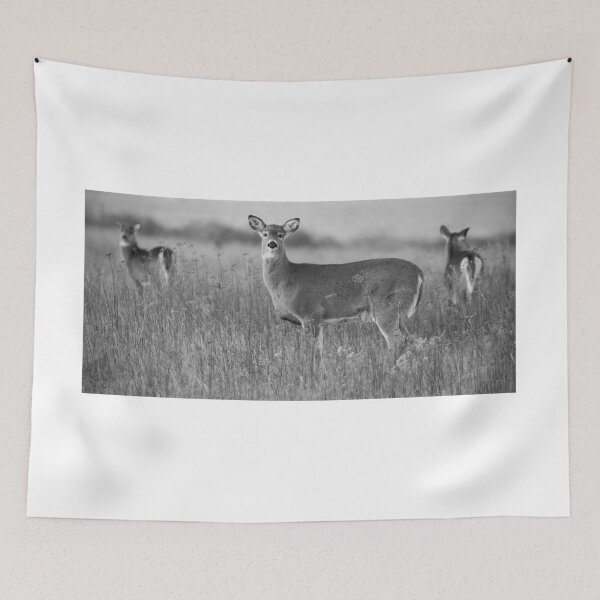 Item preview, White Tailed Deer designed and sold by Rob Lavoie.