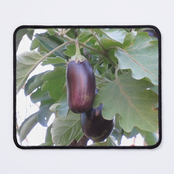 Item preview, Eggplants designed and sold by greentiger1.
