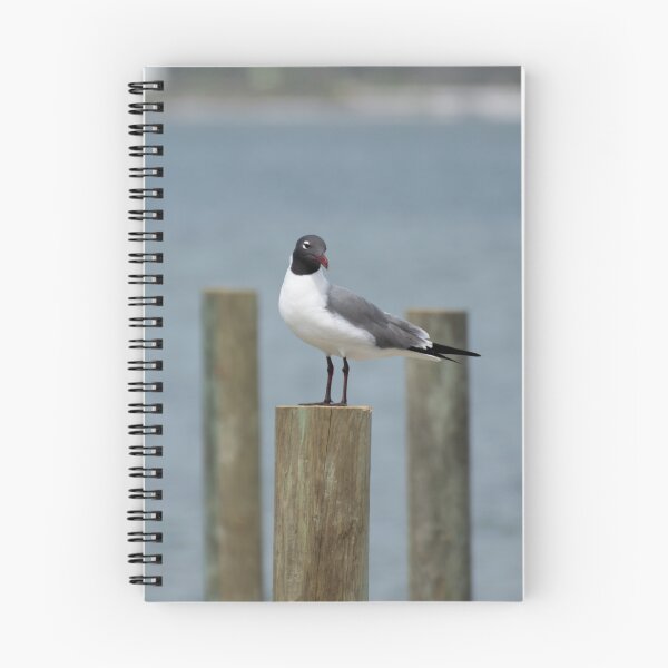 Item preview, seagull on pole designed and sold by sarelitay.
