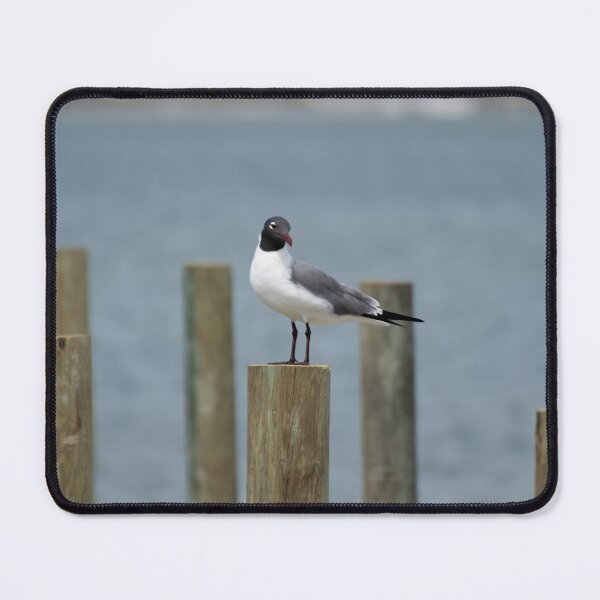 Item preview, seagull on pole designed and sold by sarelitay.