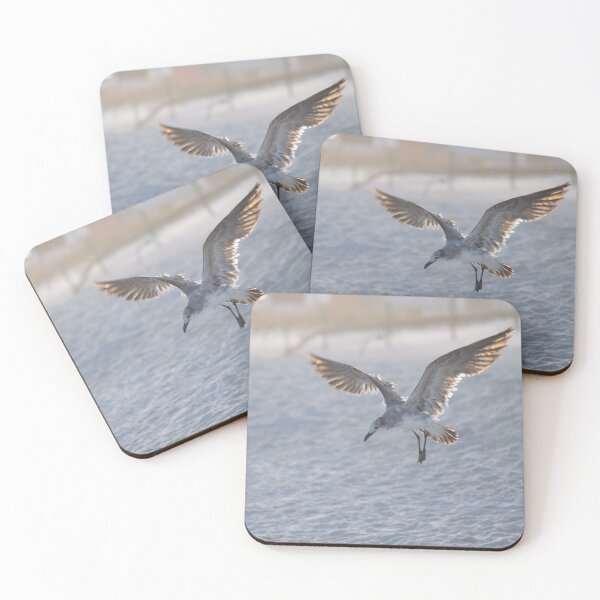 Item preview, young seagull designed and sold by sarelitay.