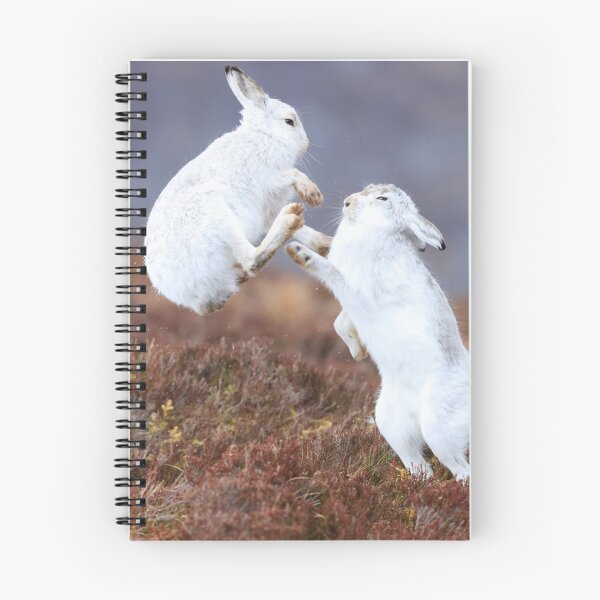 Item preview, Boxing hares designed and sold by chanonry.