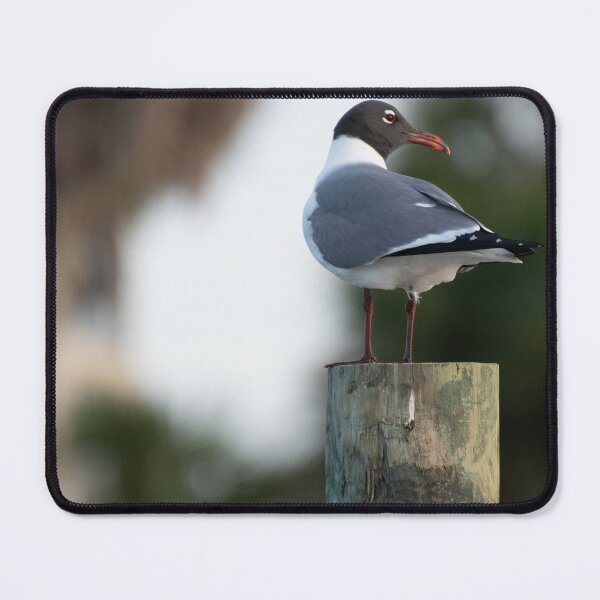 Item preview, seagull on pole designed and sold by sarelitay.