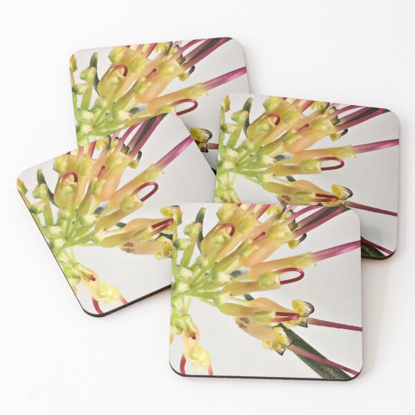 Item preview, essence de l'inflorescence designed and sold by NanaRusty.