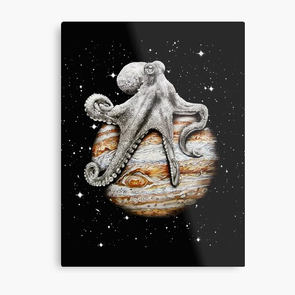 Celestial Cephalopod Metal Print