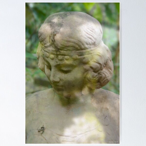 Artikelvorschau, The Lady of Shalott entworfen und verkauft von Murray Swift.