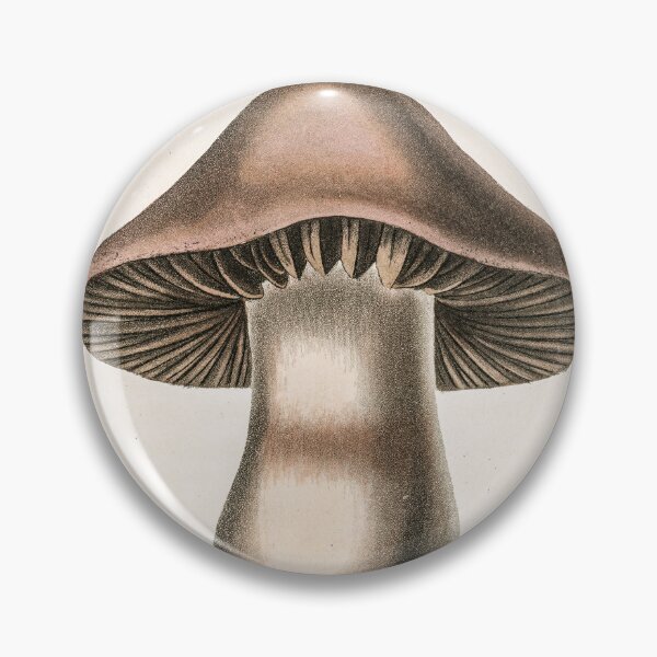 Item preview, Vintage Mushroom - Agaricus bulbosus illustration from Medical Botany (1836) by John Stephenson and James Morss Churchill designed and sold by BestUncommonTee.