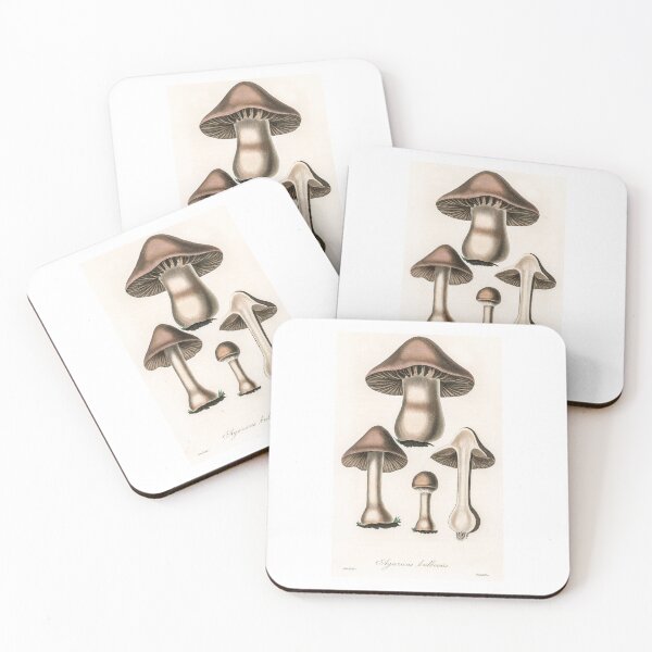 Item preview, Vintage Mushroom - Agaricus bulbosus illustration from Medical Botany (1836) by John Stephenson and James Morss Churchill designed and sold by BestUncommonTee.