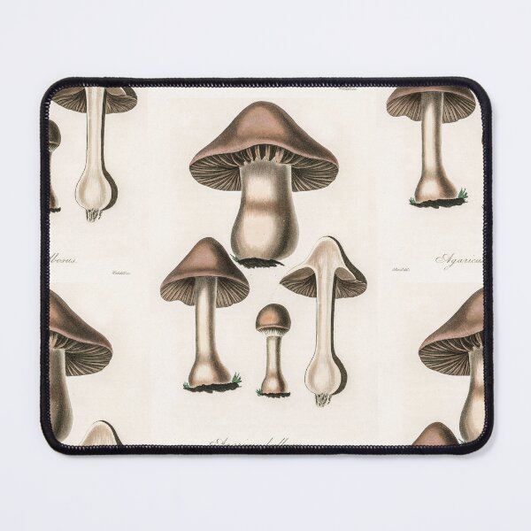 Item preview, Vintage Mushroom - Agaricus bulbosus illustration from Medical Botany (1836) by John Stephenson and James Morss Churchill designed and sold by BestUncommonTee.