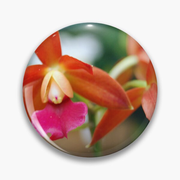 Item preview, Eagle Orchids designed and sold by treborbob.