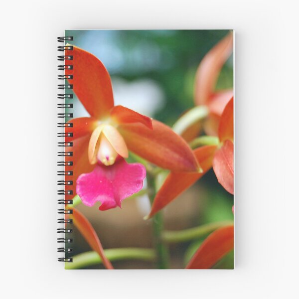 Item preview, Eagle Orchids designed and sold by treborbob.