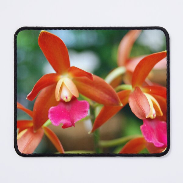 Item preview, Eagle Orchids designed and sold by treborbob.