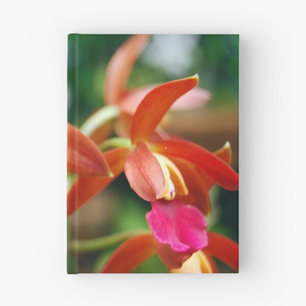 Item preview, Eagle Orchids designed and sold by treborbob.