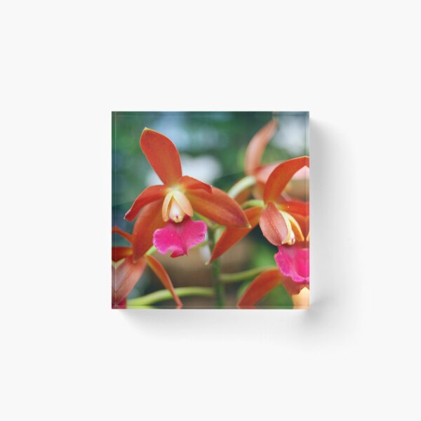 Item preview, Eagle Orchids designed and sold by treborbob.