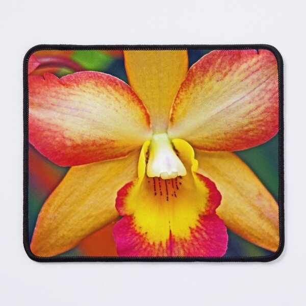 Item preview, Orchid #2 designed and sold by treborbob.