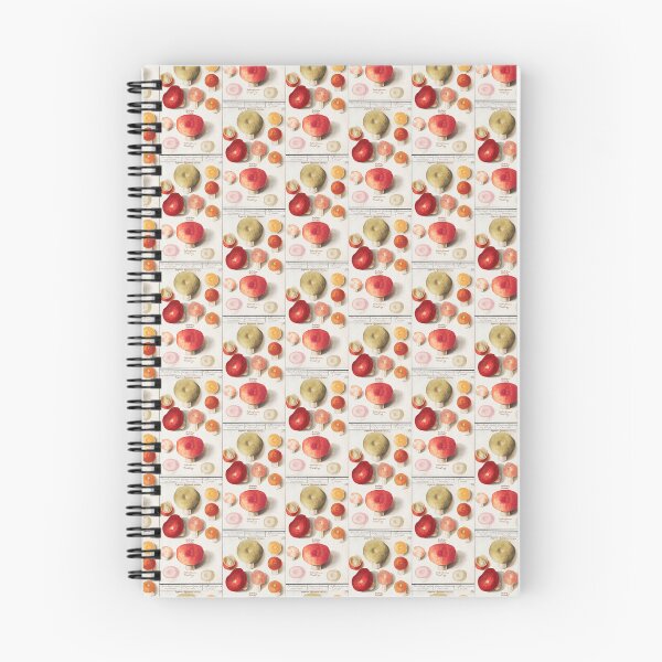 Item preview, Vintage Mushroom - Boleten, Boletales (1596–1610) by Anselmus Boëtius de Boodt. designed and sold by BestUncommonTee.