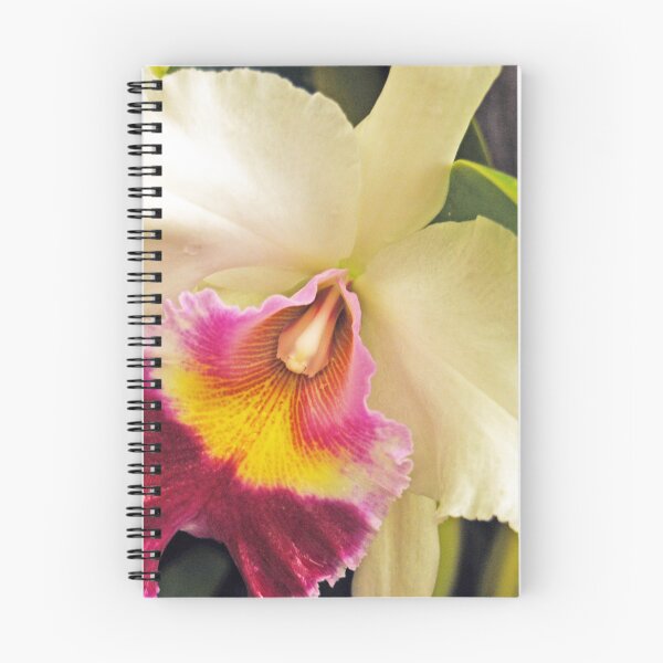 Item preview,  No3 orchid designed and sold by treborbob.
