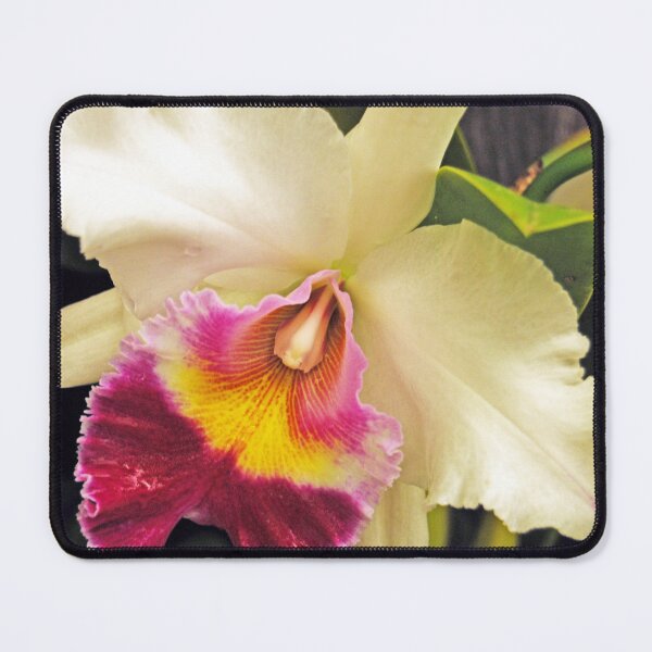 Item preview,  No3 orchid designed and sold by treborbob.