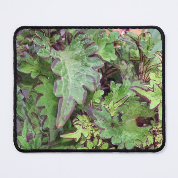Item preview, Coleus leaves designed and sold by greentiger1.