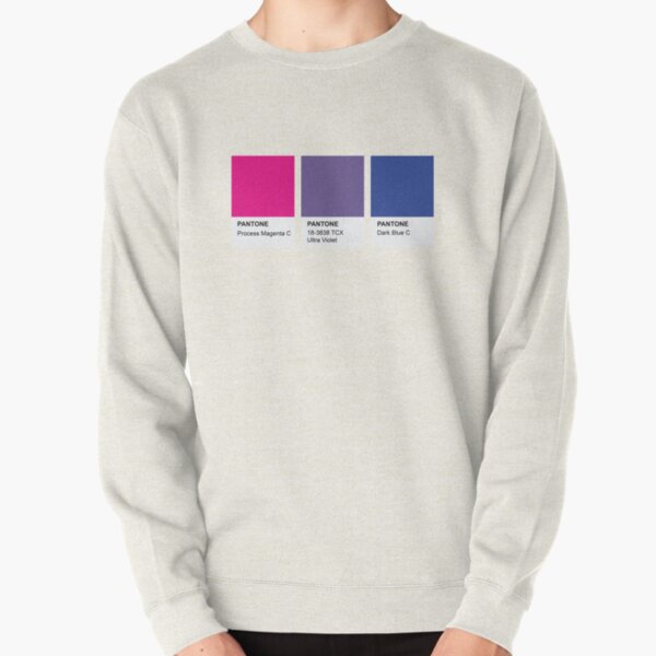 LGBT COLOR PANTONE PALLETE BISEXUAL COMMUNITY DESIGN Pullover Sweatshirt