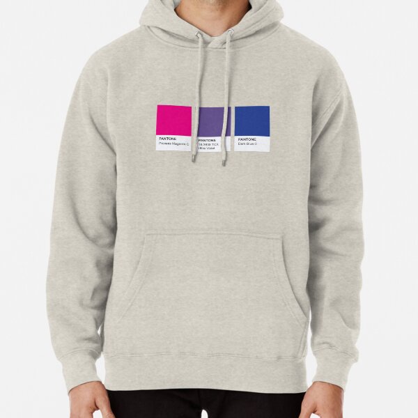 LGBT COLOR PANTONE PALLETE BISEXUAL COMMUNITY DESIGN Pullover Hoodie