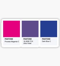 LGBT COLOR PANTONE PALLETE BISEXUAL COMMUNITY DESIGN Sticker