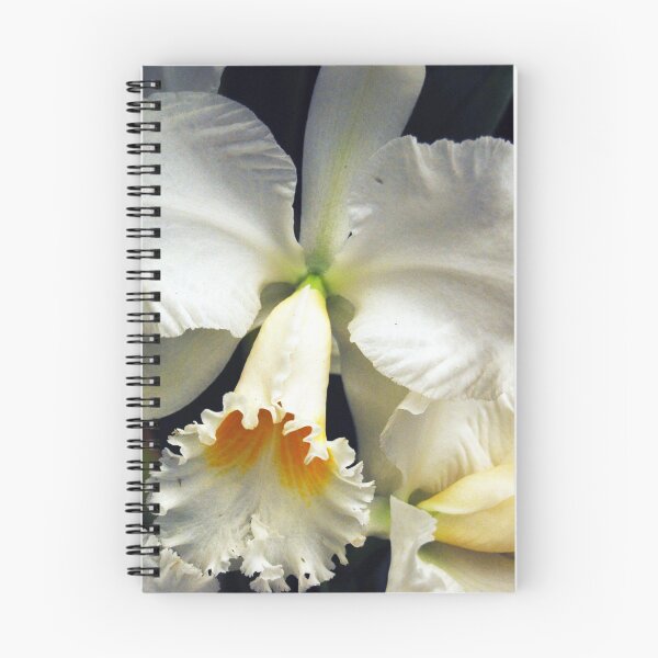Item preview, Orchid 3 designed and sold by treborbob.