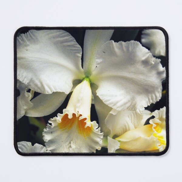 Item preview, Orchid 3 designed and sold by treborbob.