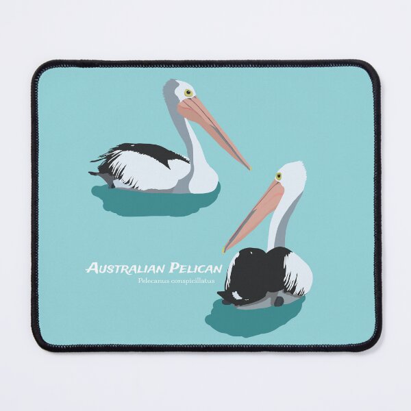 Item preview, Australian Pelican on Aqua background - Australian Sea Bird designed and sold by Jazznote.