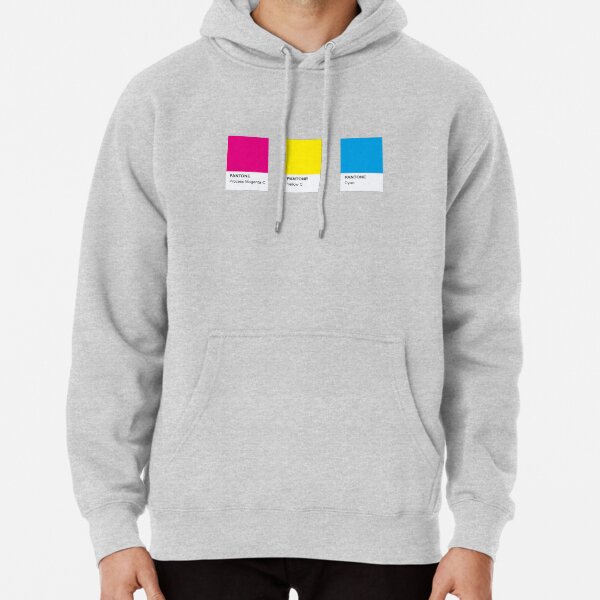 LGBT COLOR PANTONE PALLETE PANSEXUAL COMMUNITY DESIGN Pullover Hoodie