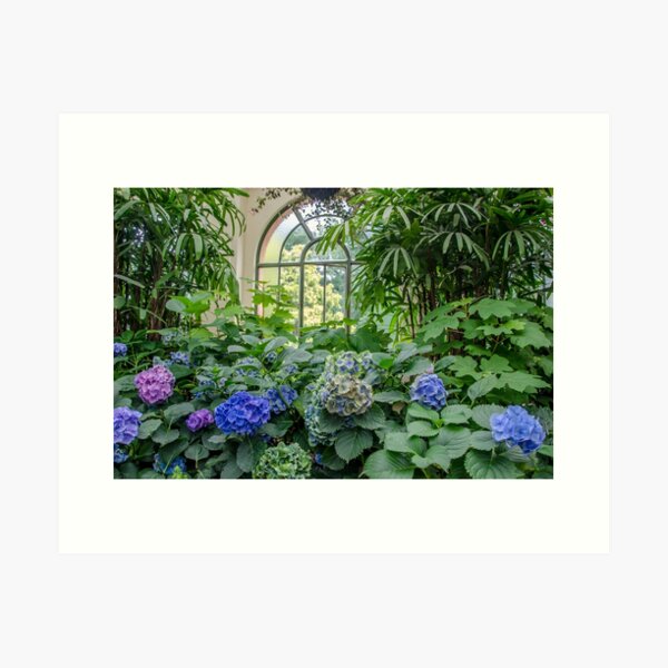 Conservatory Garden Art Print