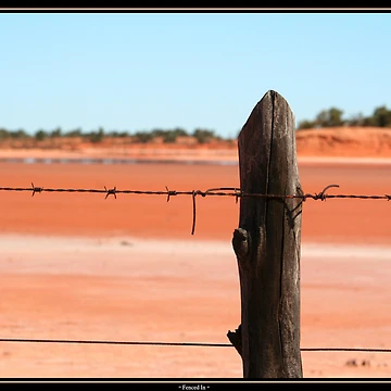 Artwork thumbnail, Fenced In by David Grubb